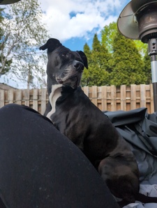 Megan