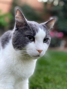 LeAnn Sanders-Acosta