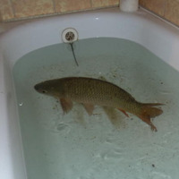 Veondre - The United States (505 books)