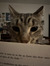 Cate