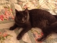 I’m a Paula too… Thompson