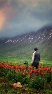 Mohsen Hasanpour