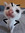 holly edwards | 1 comments