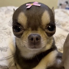 ⋆˚࿔ nat ࿔˚⋆