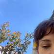 rd