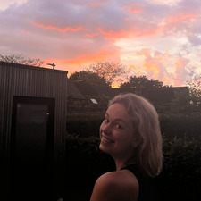 Yumi Van Rolleghem