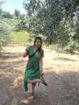 Eliise