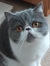 Charis ...