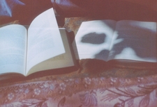 Charlottes' Chapters