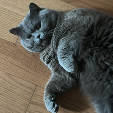 Jude