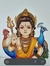 Aruna S...