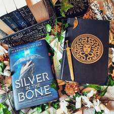 Shannon (Media Shadow Reads)