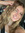 Kiley Krosky