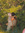 member photo member photo