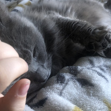 Jocelyn Murray-Macintyre