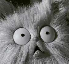 kaitlyn ˚✧₊⁎⁺˳✧༚