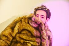 Amanda Cristina