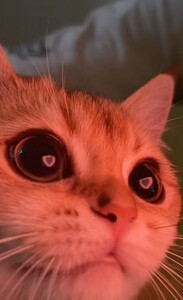 Bruna