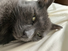 soph &#x1f495;&#x1f485;&#x1f408;‍⬛