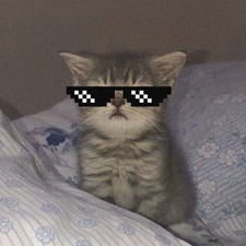 gia!