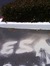 Cesar N...