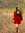 Charlotte Wipf