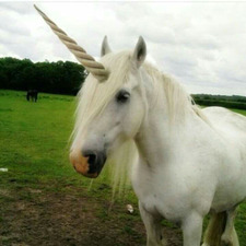 Carla Parna-Chavarin