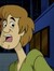 shaggy