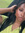 Diorre | 3 comments