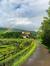 Engji