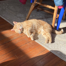 Michaela Shea-Gander