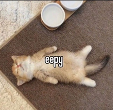 Verin