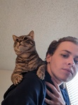 Alexander