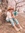 J.A. Forde | 12 comments