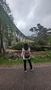 Sophia ʕっ•ᴥ•ʔっ