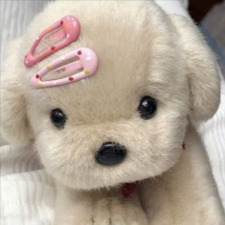 Charlotte The Coolest Ever