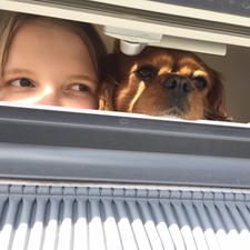 ✰ ˗ˏ`Silje-Sofie‘ˎ˗ ✰