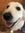 Elise DM