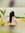 Shrishti Uniyal | 3 comments