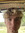 Luke Byers