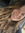 Bella Emerson | 3 comments