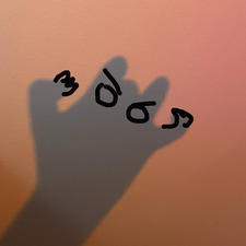 Niklas Hatdenbogenraus