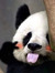 Dieu Pham