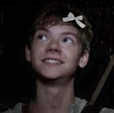 The dust on your bookshelf and bookends