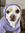 Shaynan | 9 comments
