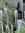 member photo member photo
