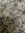 Bryan | 39 comments