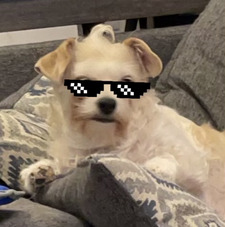 &#x1d56f;&#x1d58a;&#x1d592;&#x1d594;&#x1d593; &#x1d577;&#x1d594;&#x1d597;&#x1d589;