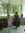 Jud | 141 comments