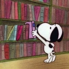 * ੈ✩‧₊˚* ੈ✩‧₊